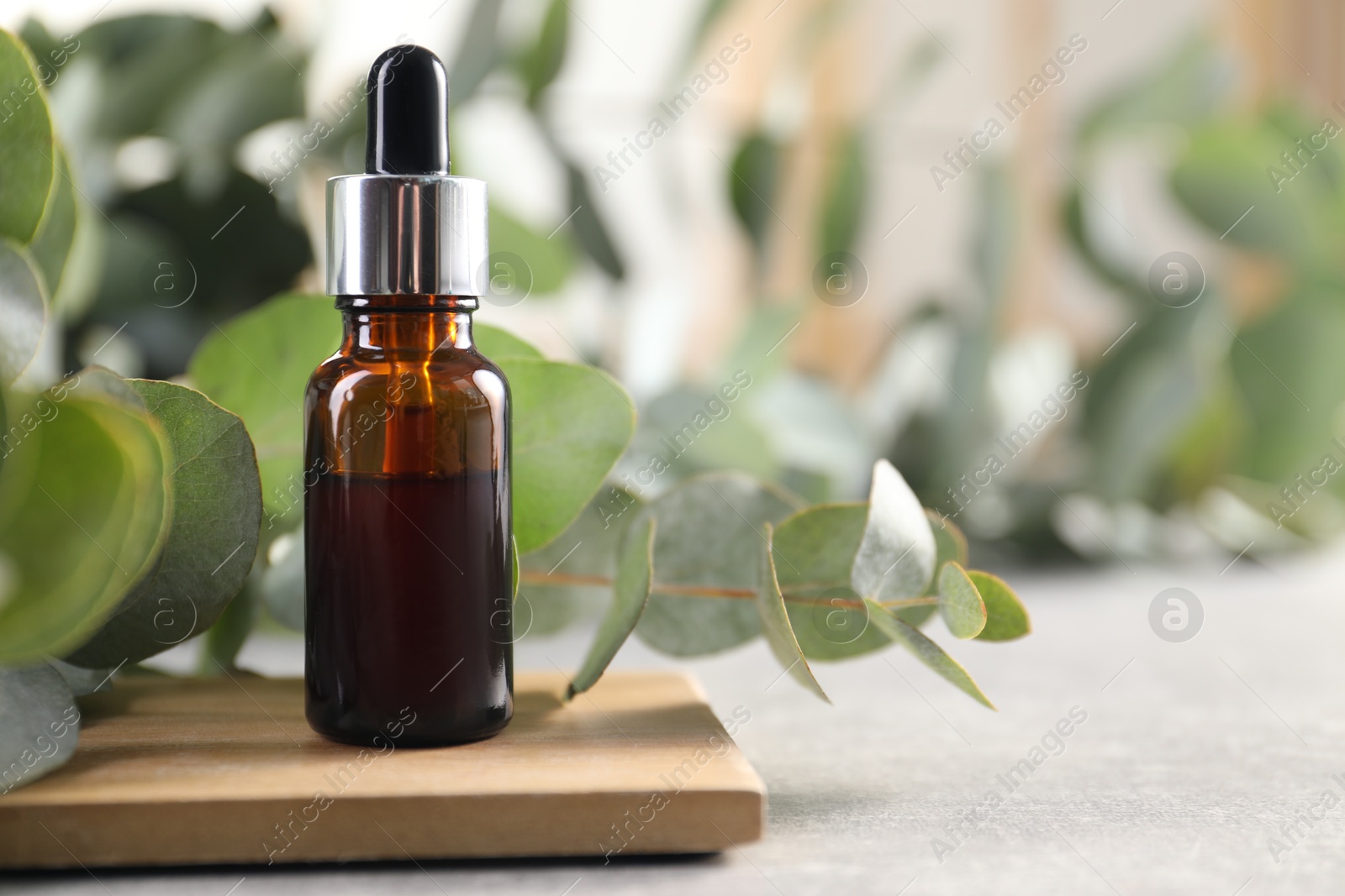 Photo of Aromatherapy. Bottle of essential oil and eucalyptus leaves on grey table