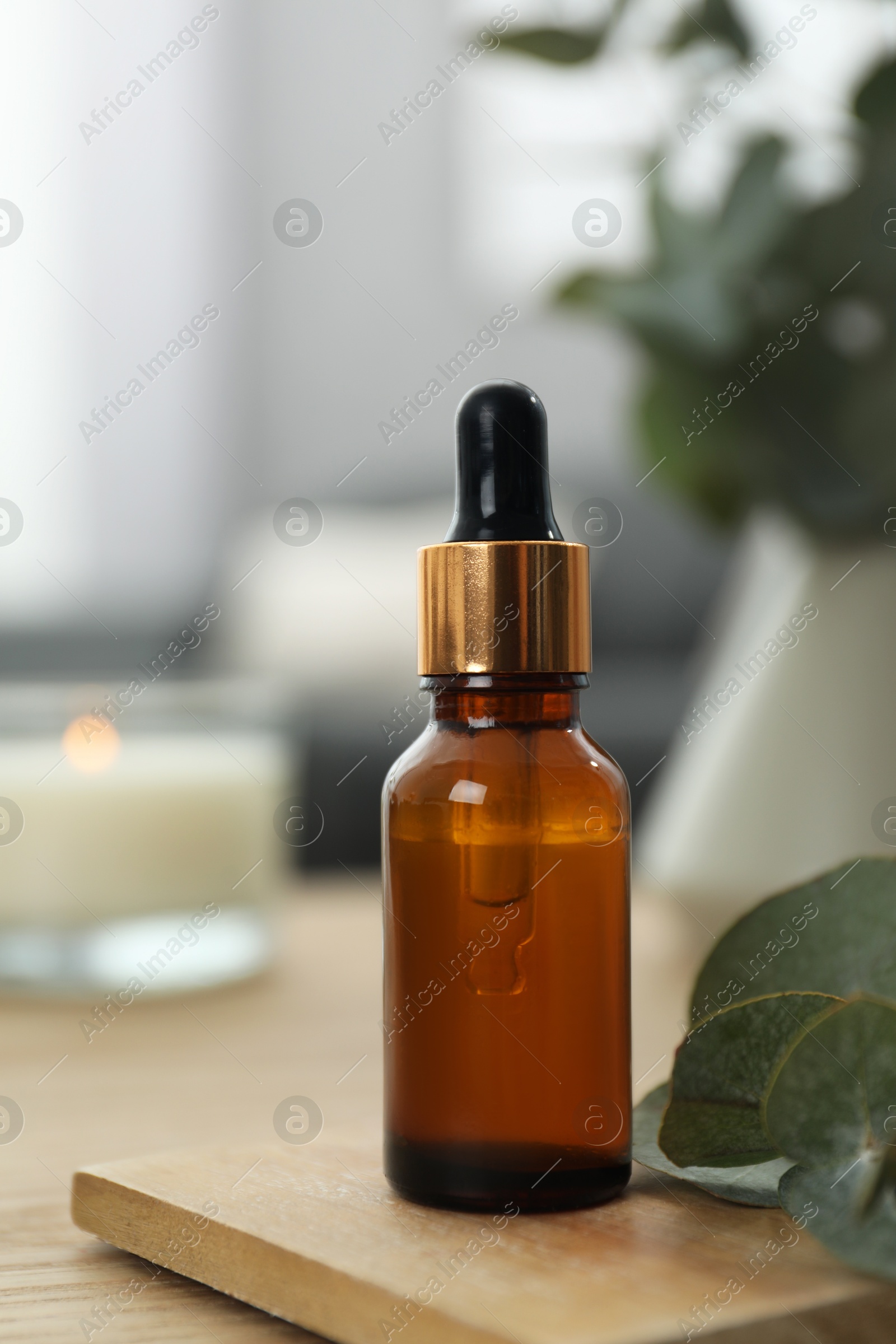 Photo of Aromatherapy. Bottle of essential oil and eucalyptus leaves on table