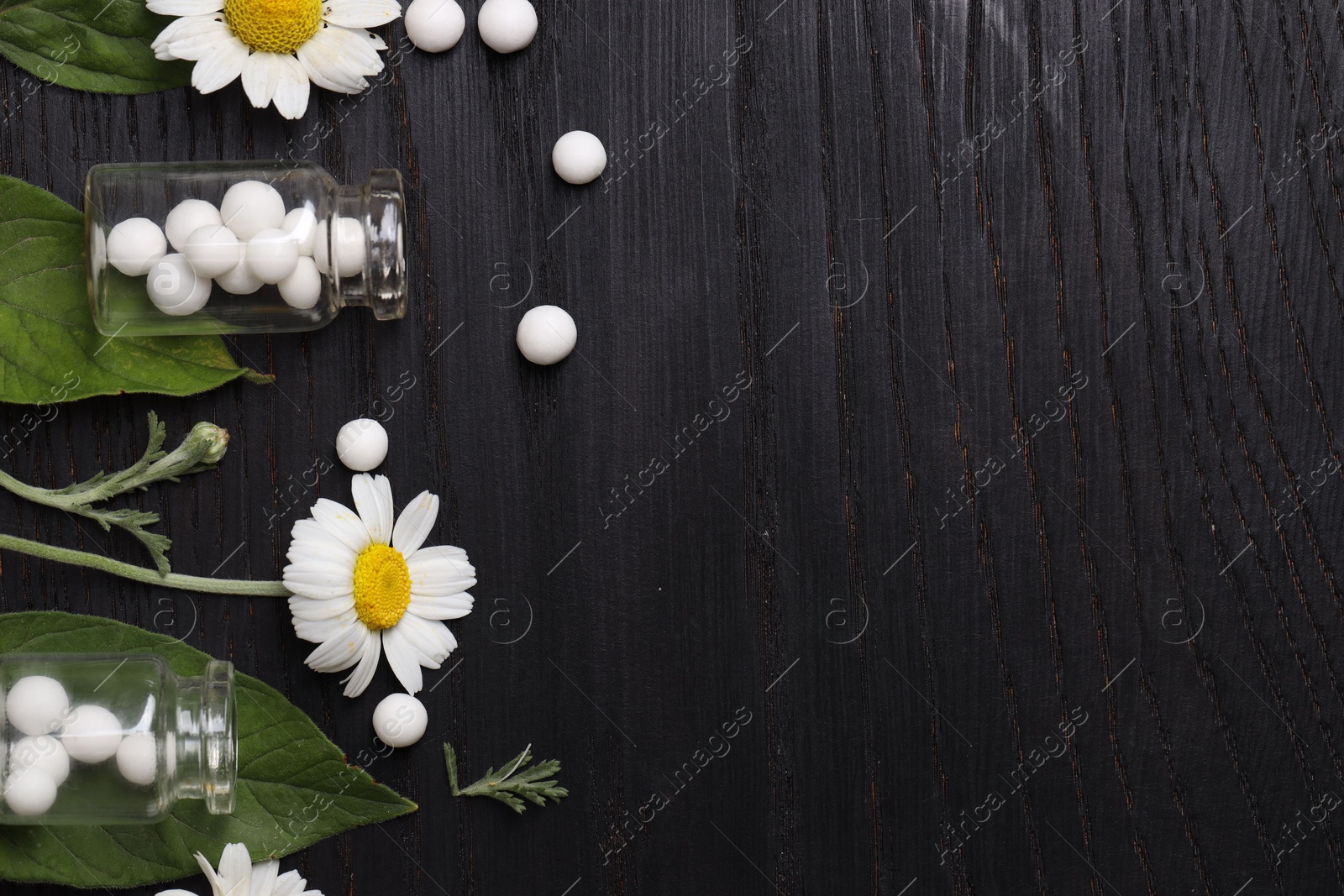 Photo of Homeopathy. Flat lay composition with many pills and chamomile flowers on black wooden table, space for text