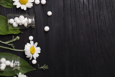 Photo of Homeopathy. Flat lay composition with many pills and chamomile flowers on black wooden table, space for text