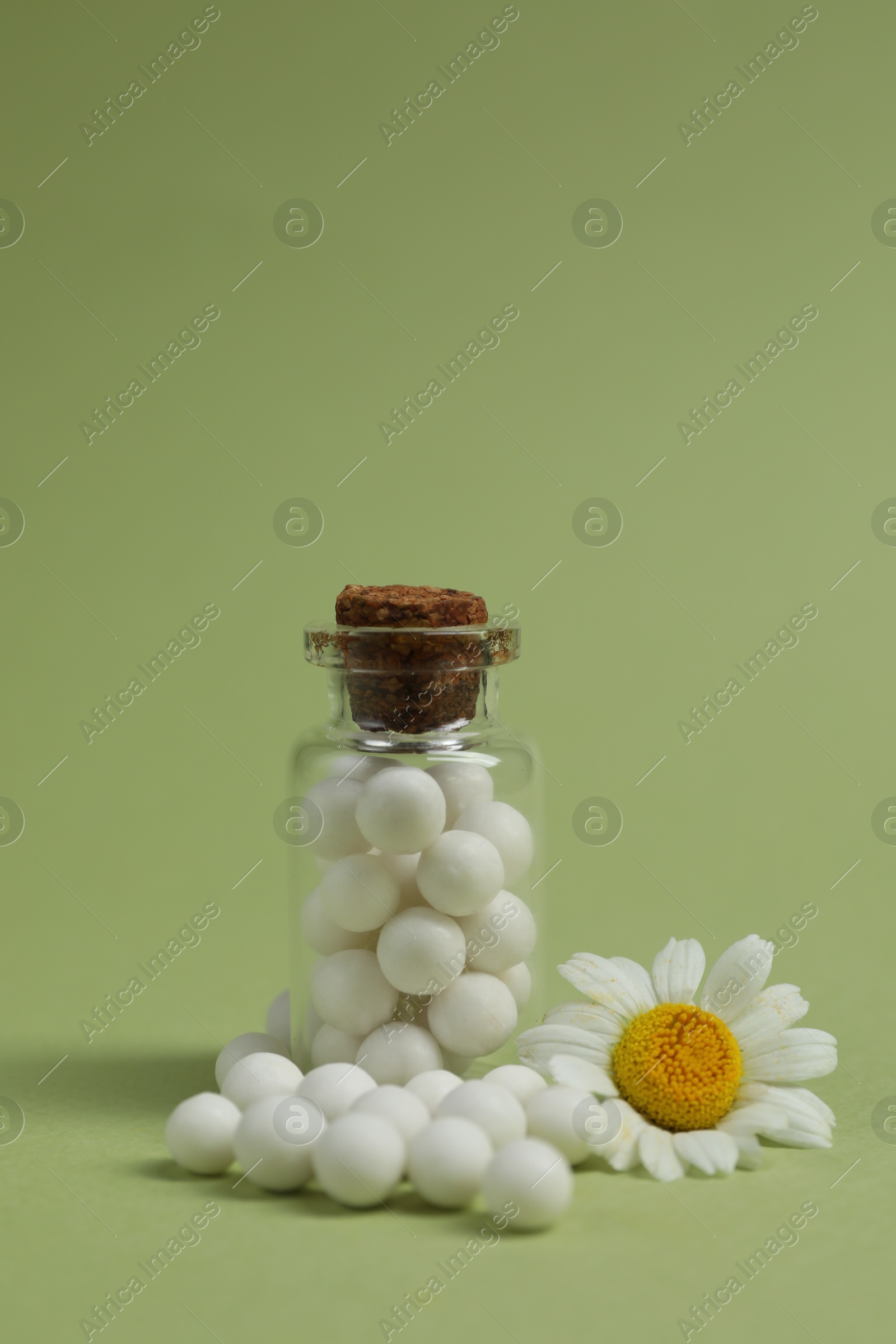 Photo of Bottle of homeopathic remedy and chamomile on light green background