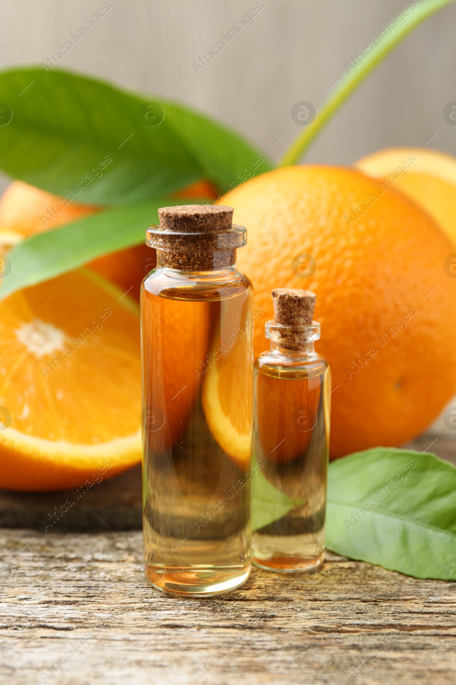 Photo of Essential oils in bottles, oranges and green leaves on wooden table