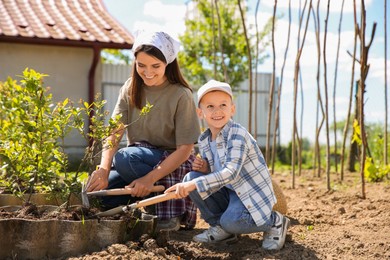 Mother and her son planting tree together in garden