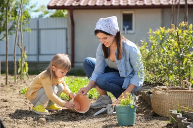 Photo of Mother and her cute daughter planting tree together in garden