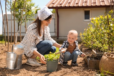 Mother and her cute son planting tree together in garden