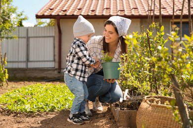 Mother and her cute son planting tree together in garden