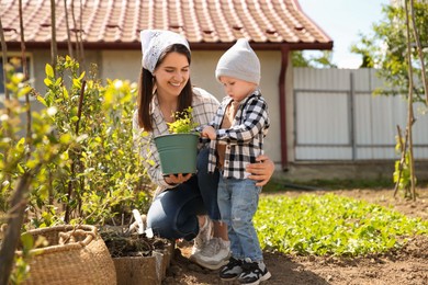 Photo of Mother and her cute son planting tree together in garden