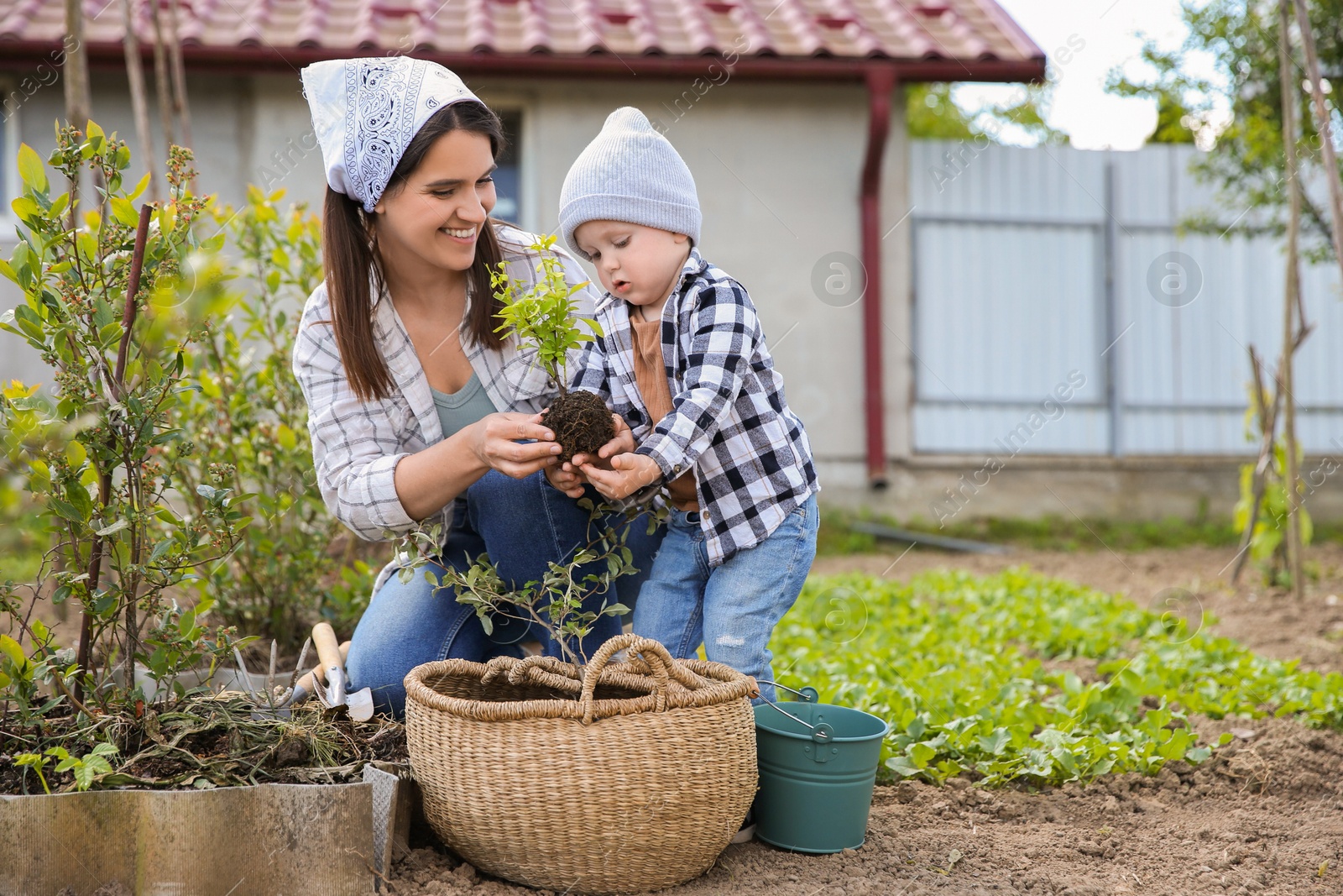 Photo of Mother and her cute son planting tree together in garden