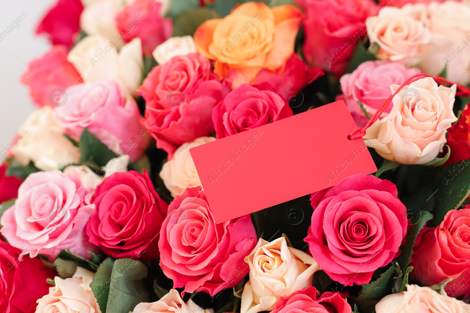 Photo of Bouquet of beautiful roses with blank card, closeup