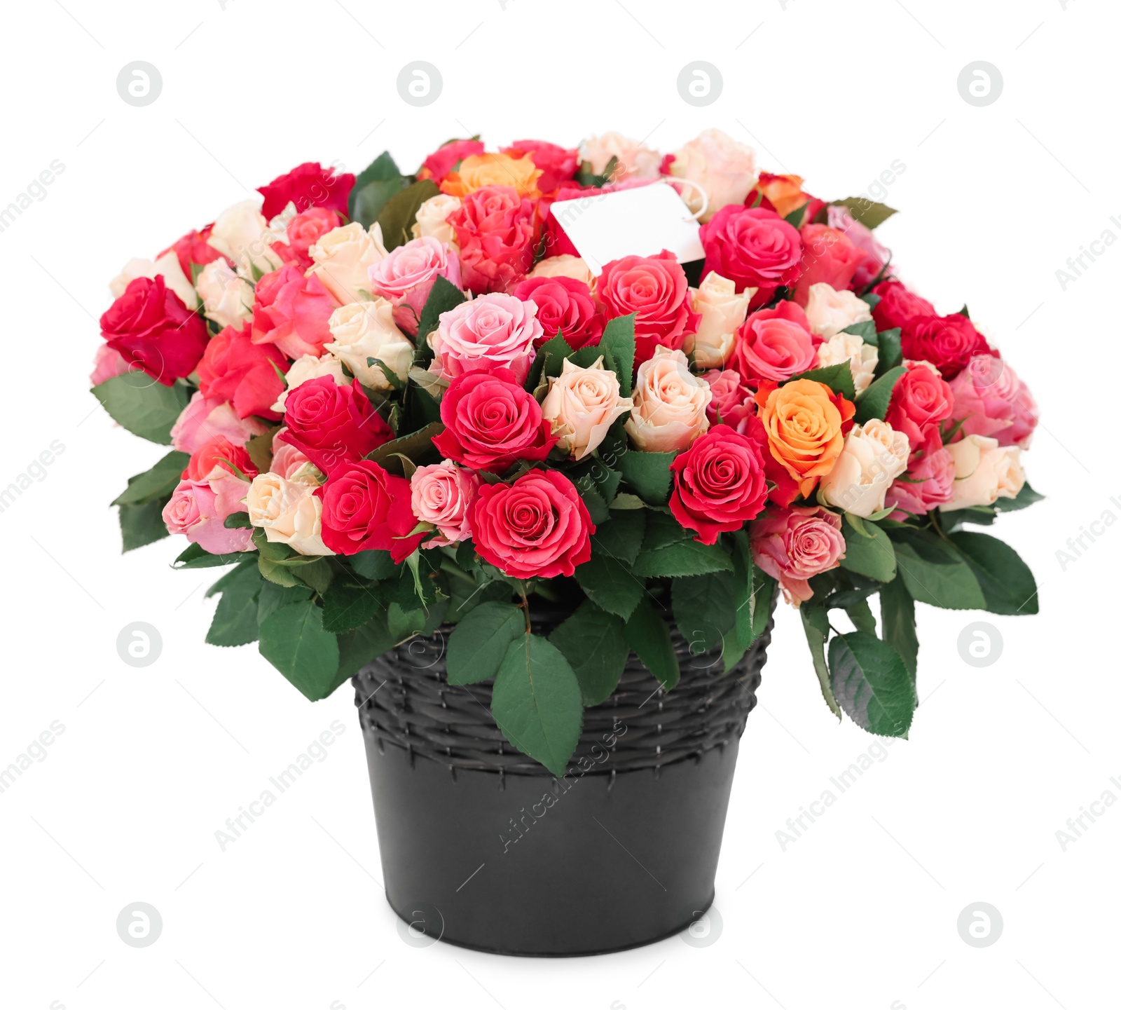 Photo of Bouquet of beautiful roses with blank card on white table against light background, space for text