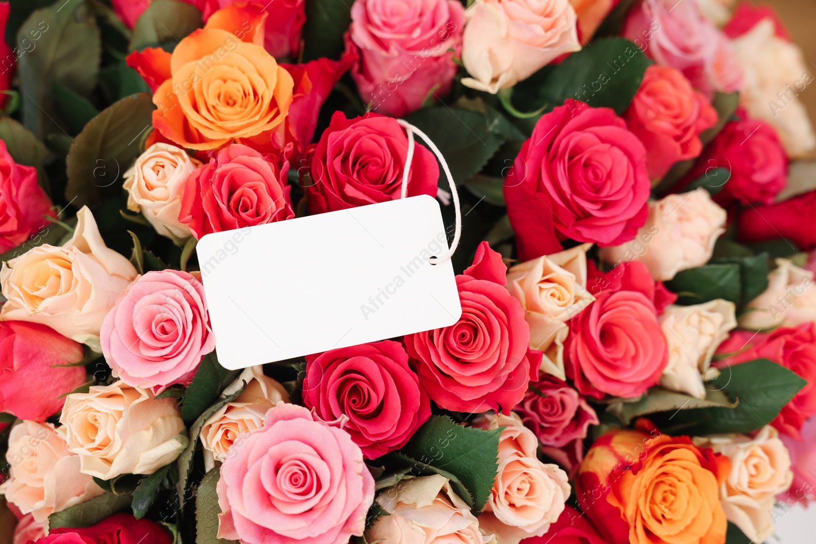 Photo of Bouquet of beautiful roses with blank card, closeup