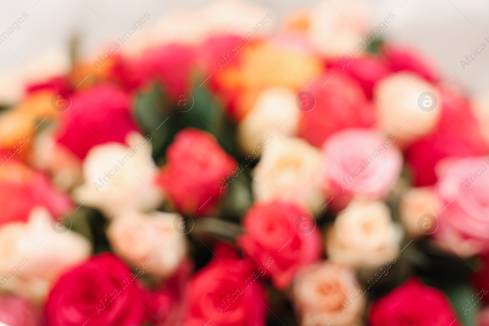 Photo of Bouquet of beautiful colorful roses, blurred view