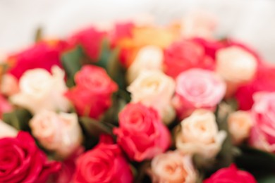 Photo of Bouquet of beautiful colorful roses, blurred view