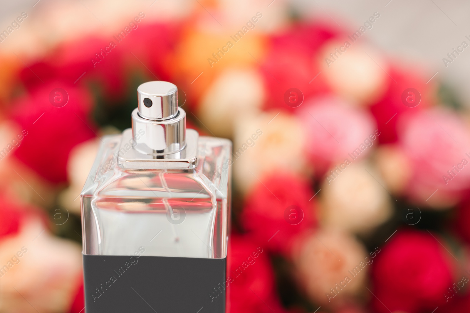 Photo of Bottle of perfume against bouquet of beautiful roses, closeup. Space for text