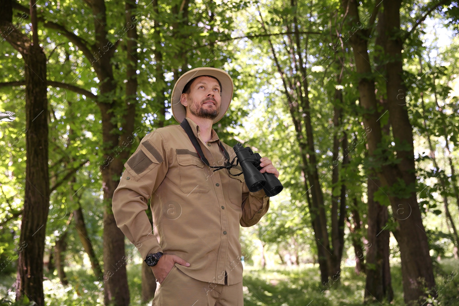 Photo of Forester with binoculars examining plants in forest