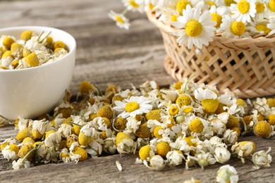 Dry and fresh chamomile flowers on wooden table, closeup