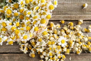 Dry and fresh chamomile flowers on wooden table, flat lay