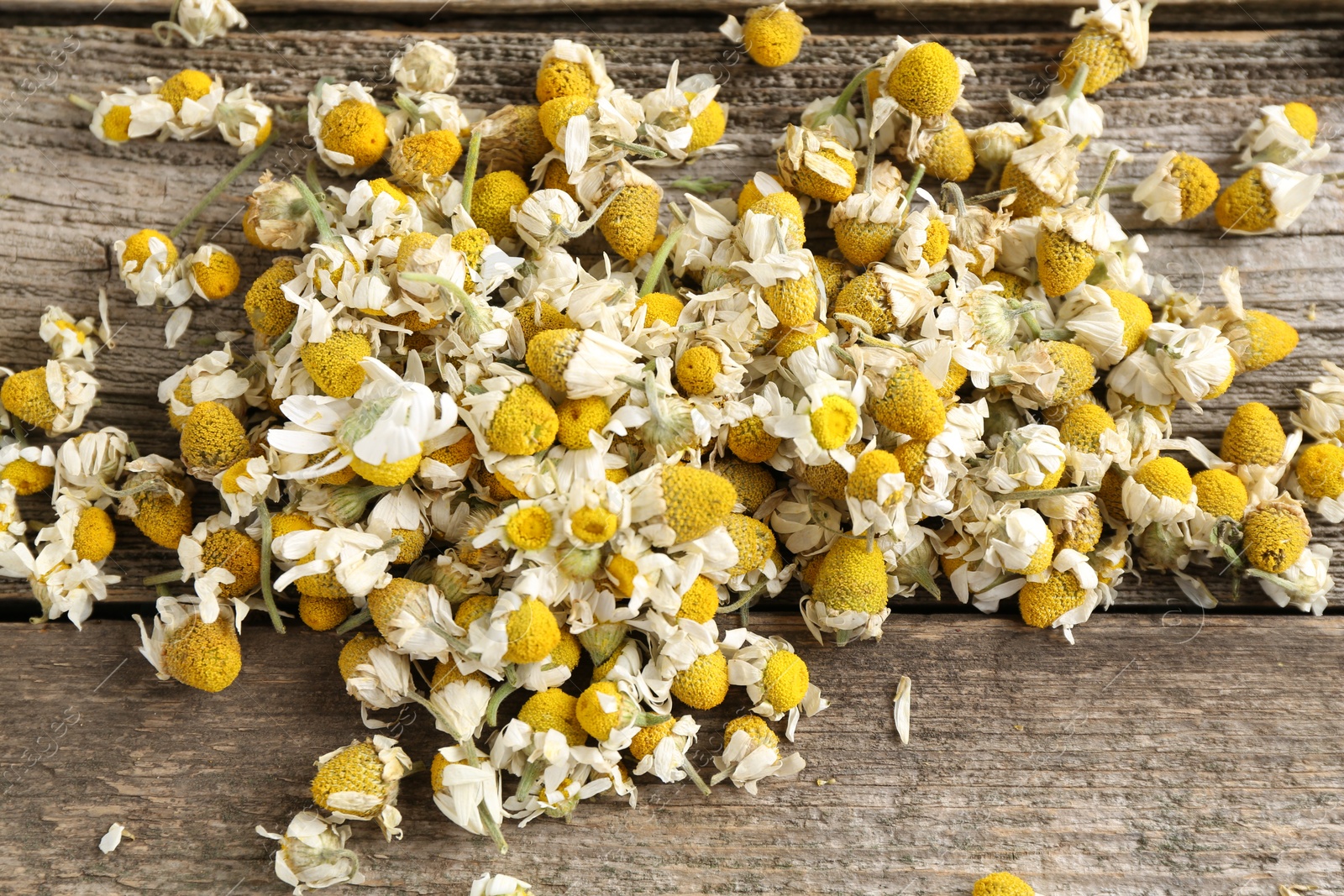 Photo of Many chamomile flowers on wooden table, closeup