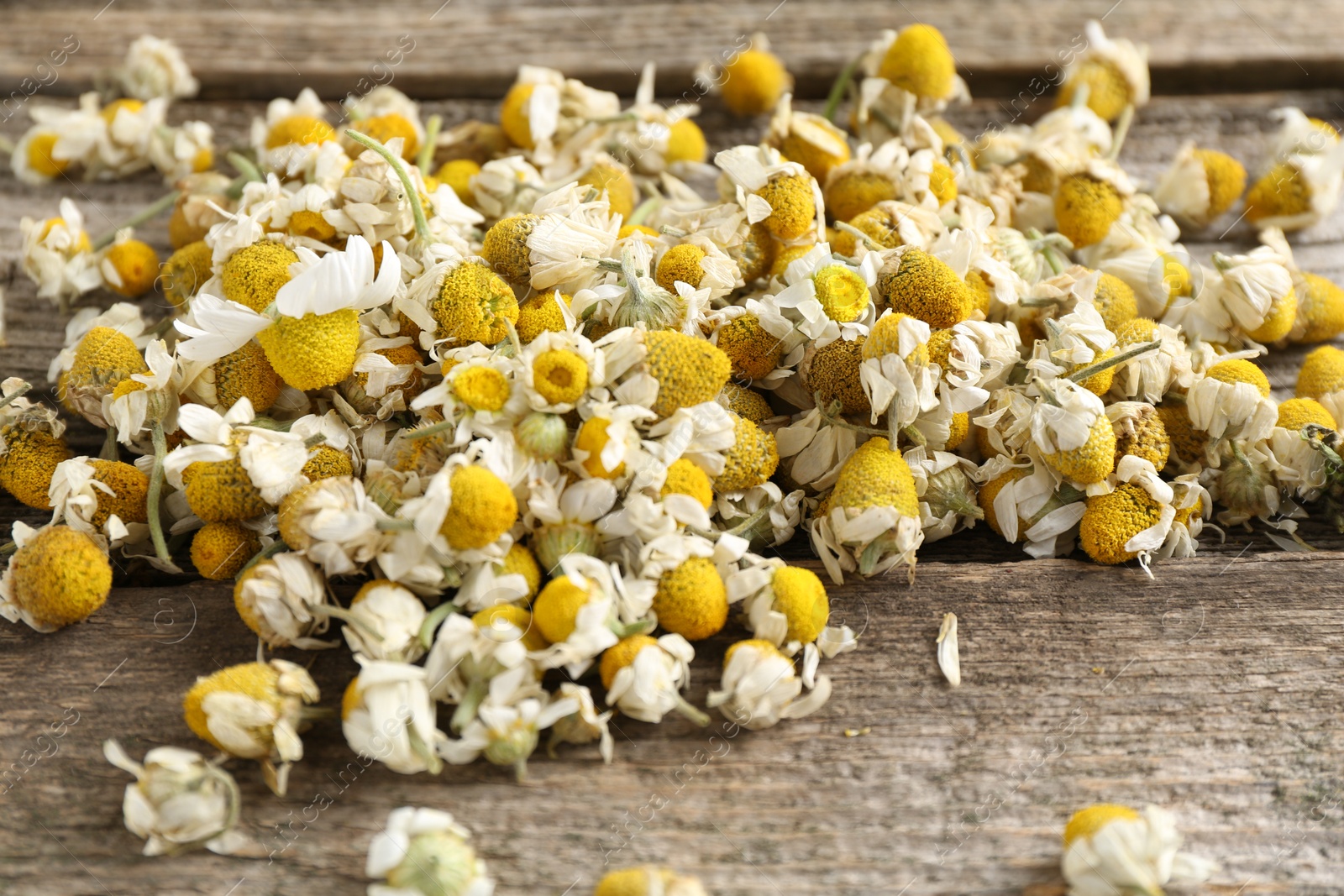 Photo of Many chamomile flowers on wooden table, closeup