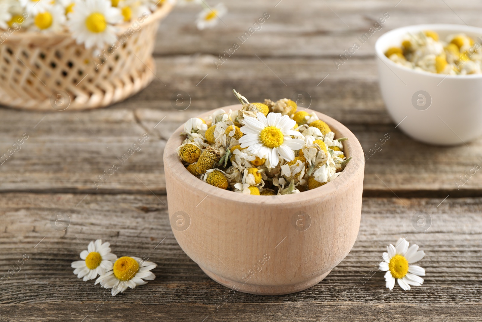 Photo of Dry and fresh chamomile flowers on wooden table