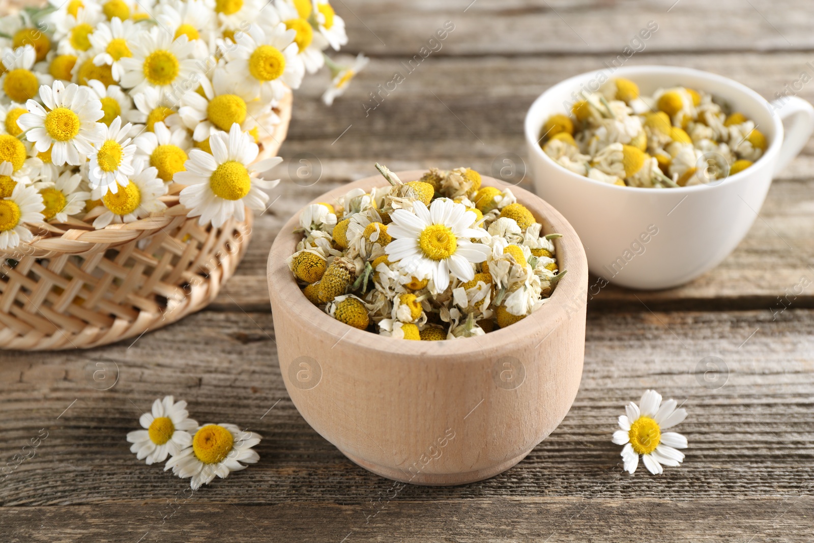 Photo of Dry and fresh chamomile flowers on wooden table