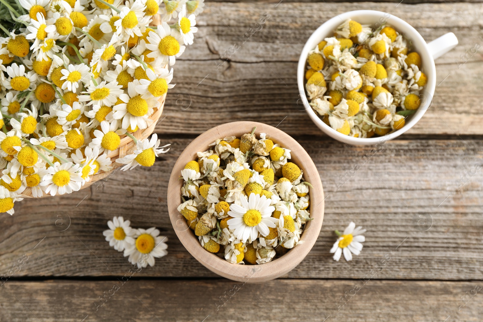 Photo of Dry and fresh chamomile flowers on wooden table, flat lay