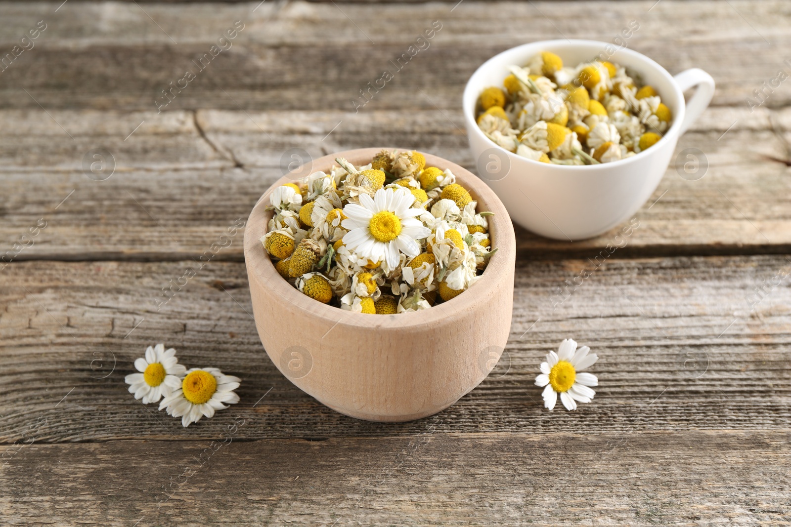 Photo of Dry and fresh chamomile flowers on wooden table