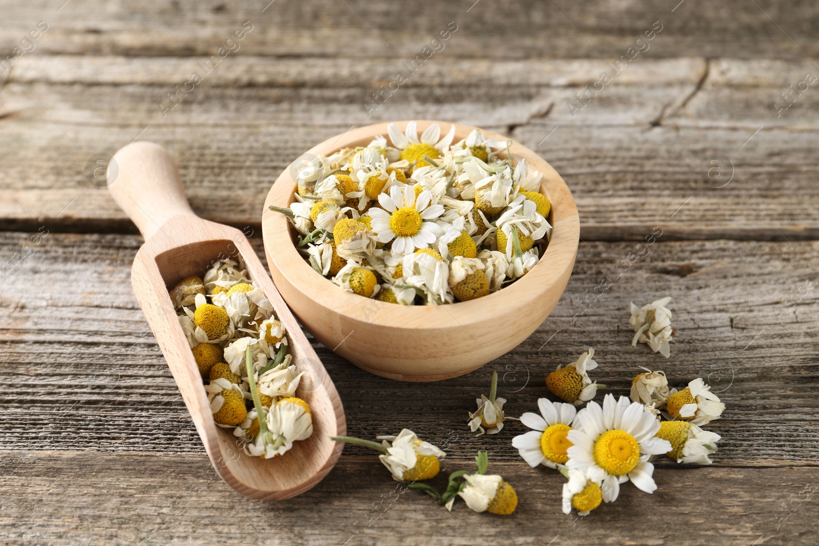 Photo of Dry and fresh chamomile flowers on wooden table