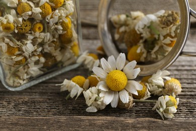 Photo of Dry and fresh chamomile flowers on wooden table, closeup