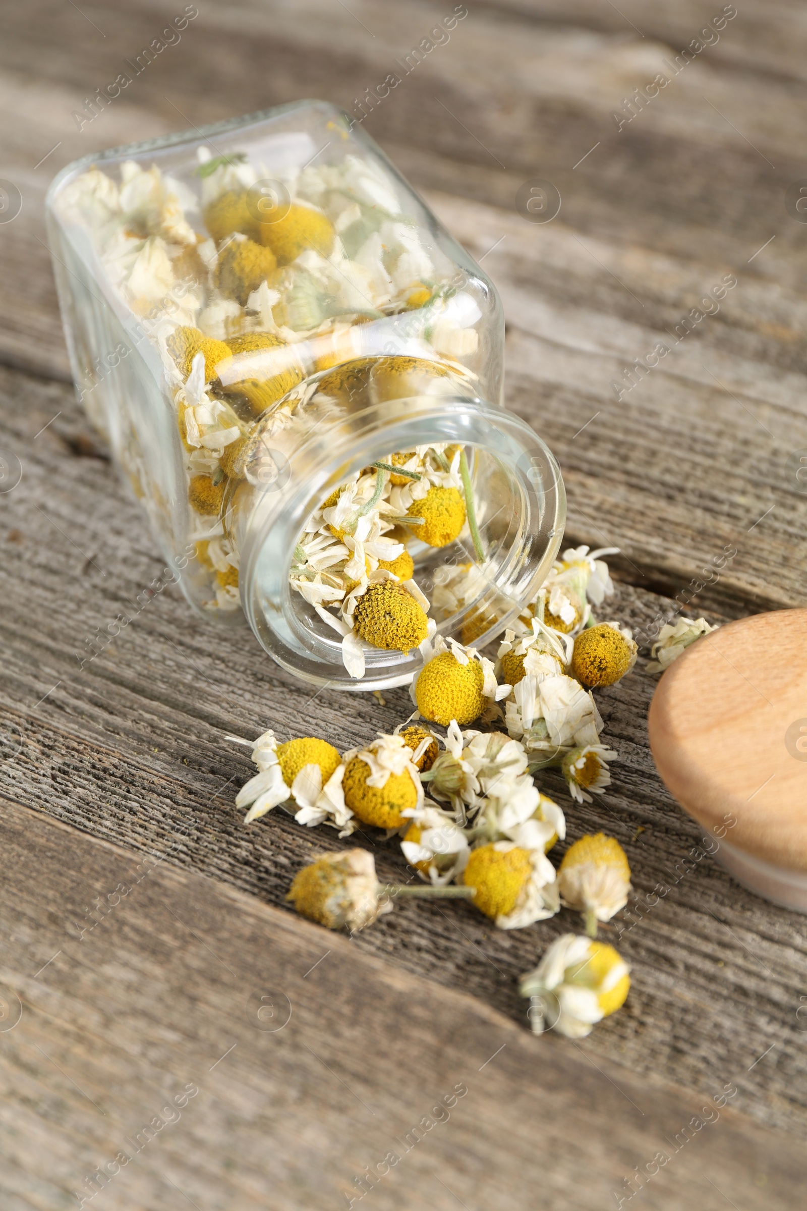 Photo of Chamomile flowers in glass jar on wooden table