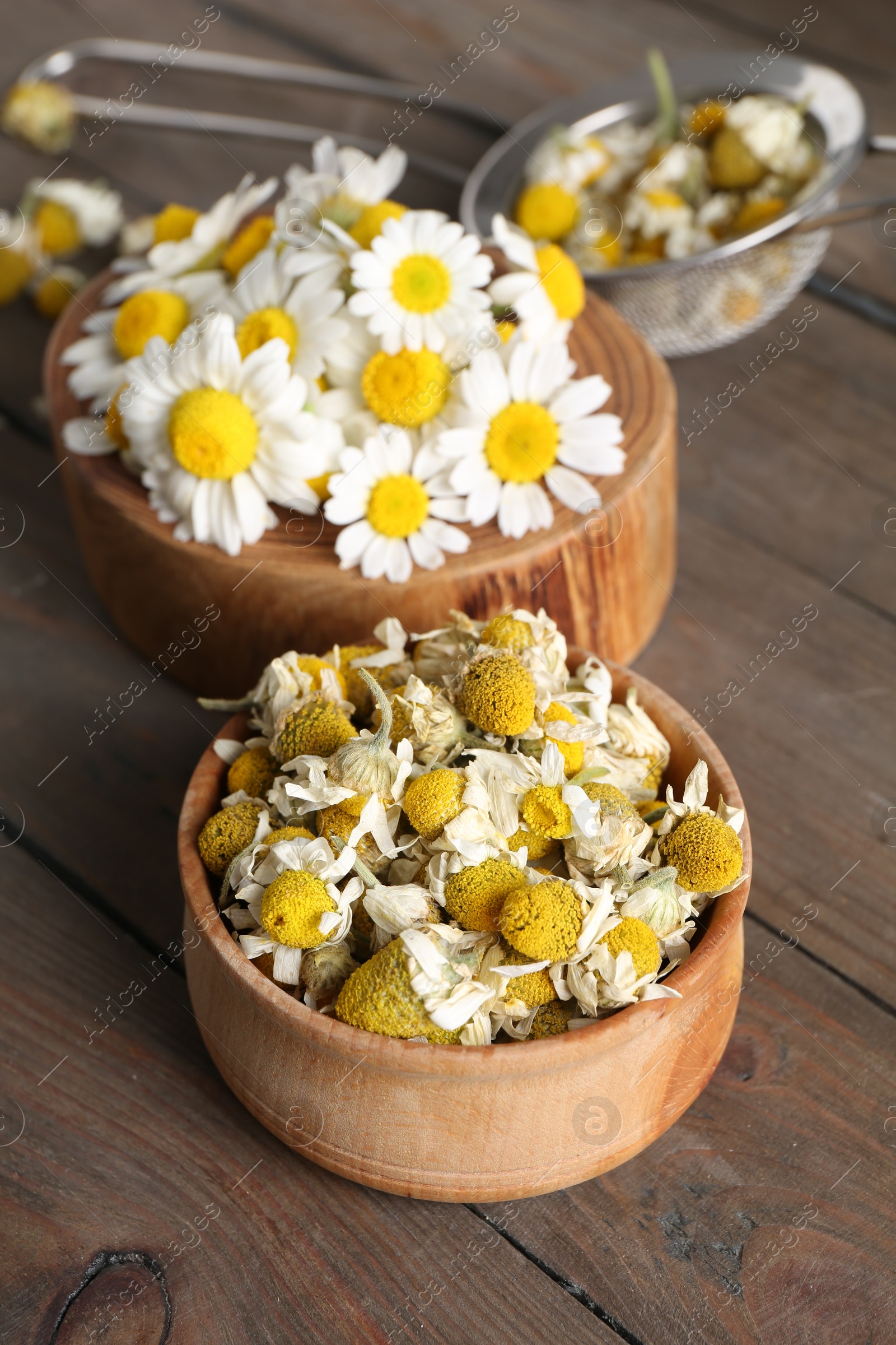 Photo of Dry and fresh chamomile flowers on wooden table, closeup