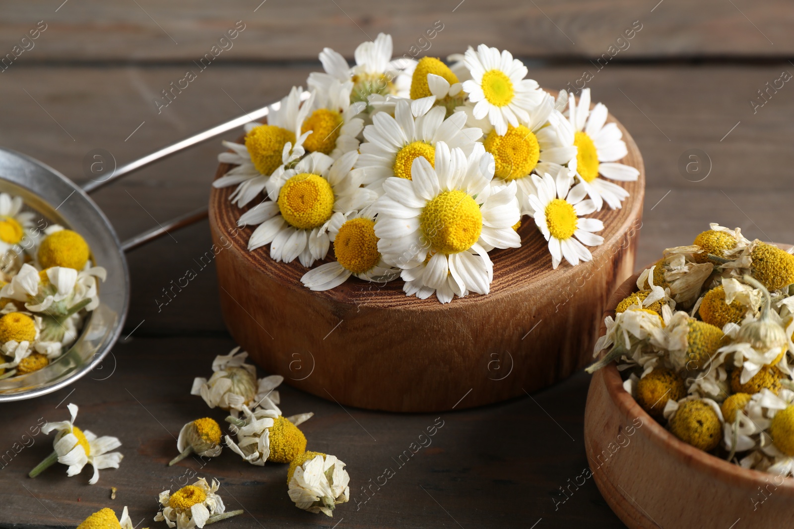 Photo of Dry and fresh chamomile flowers on wooden table, closeup