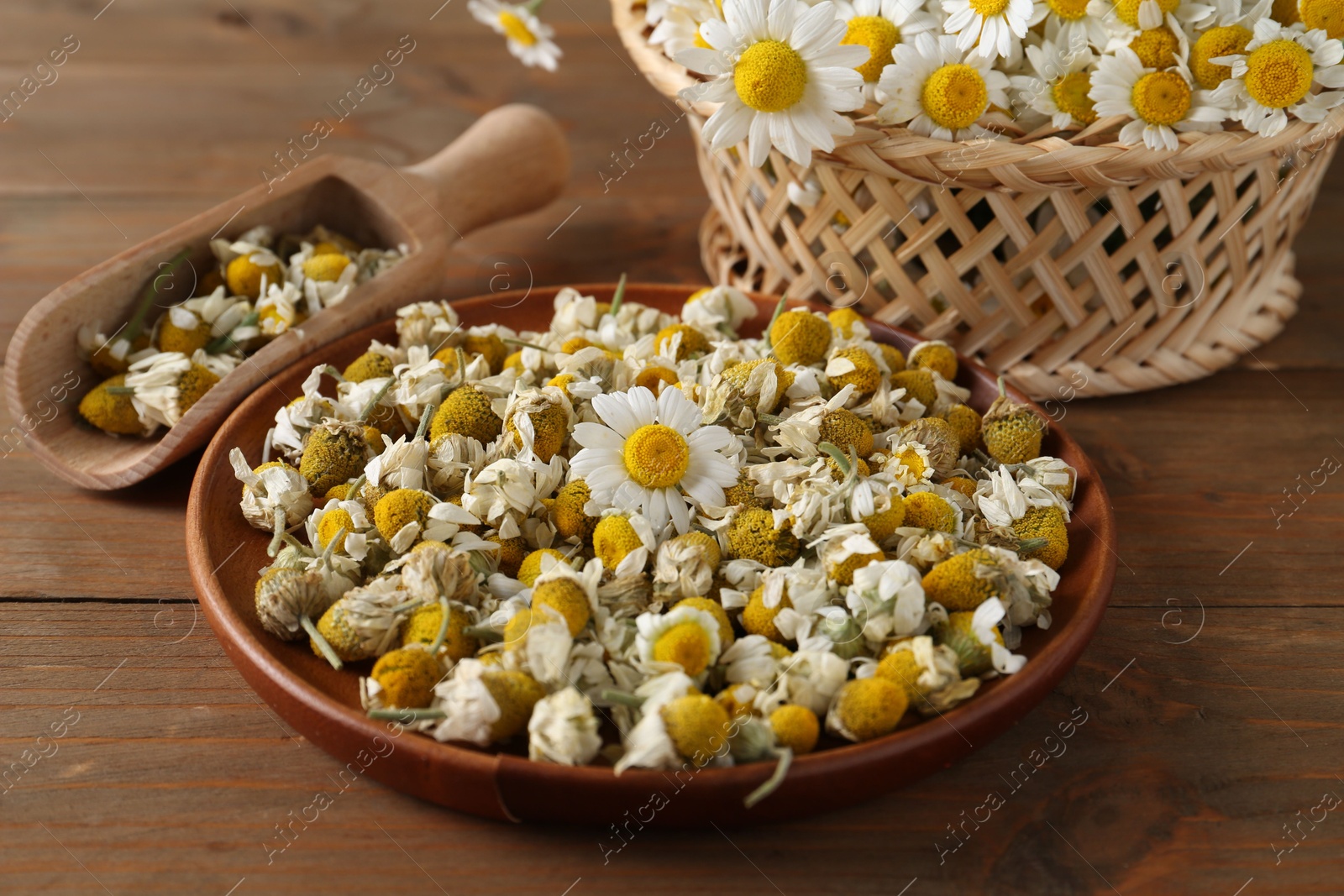 Photo of Dry and fresh chamomile flowers on wooden table, closeup