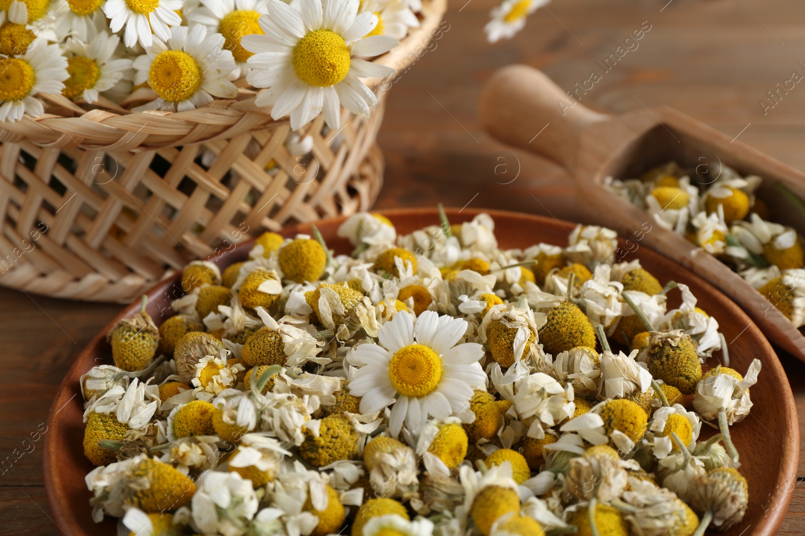 Photo of Dry and fresh chamomile flowers on table, closeup