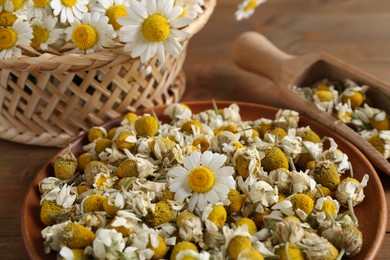 Photo of Dry and fresh chamomile flowers on table, closeup