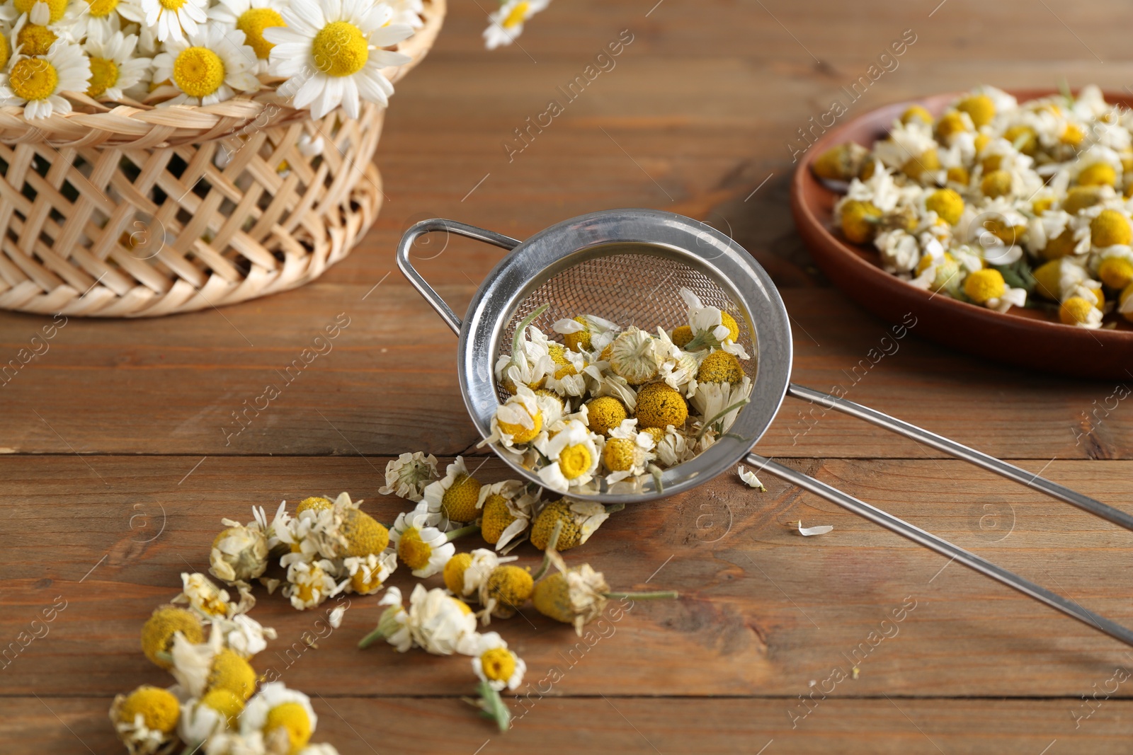 Photo of Dry and fresh chamomile flowers on wooden table