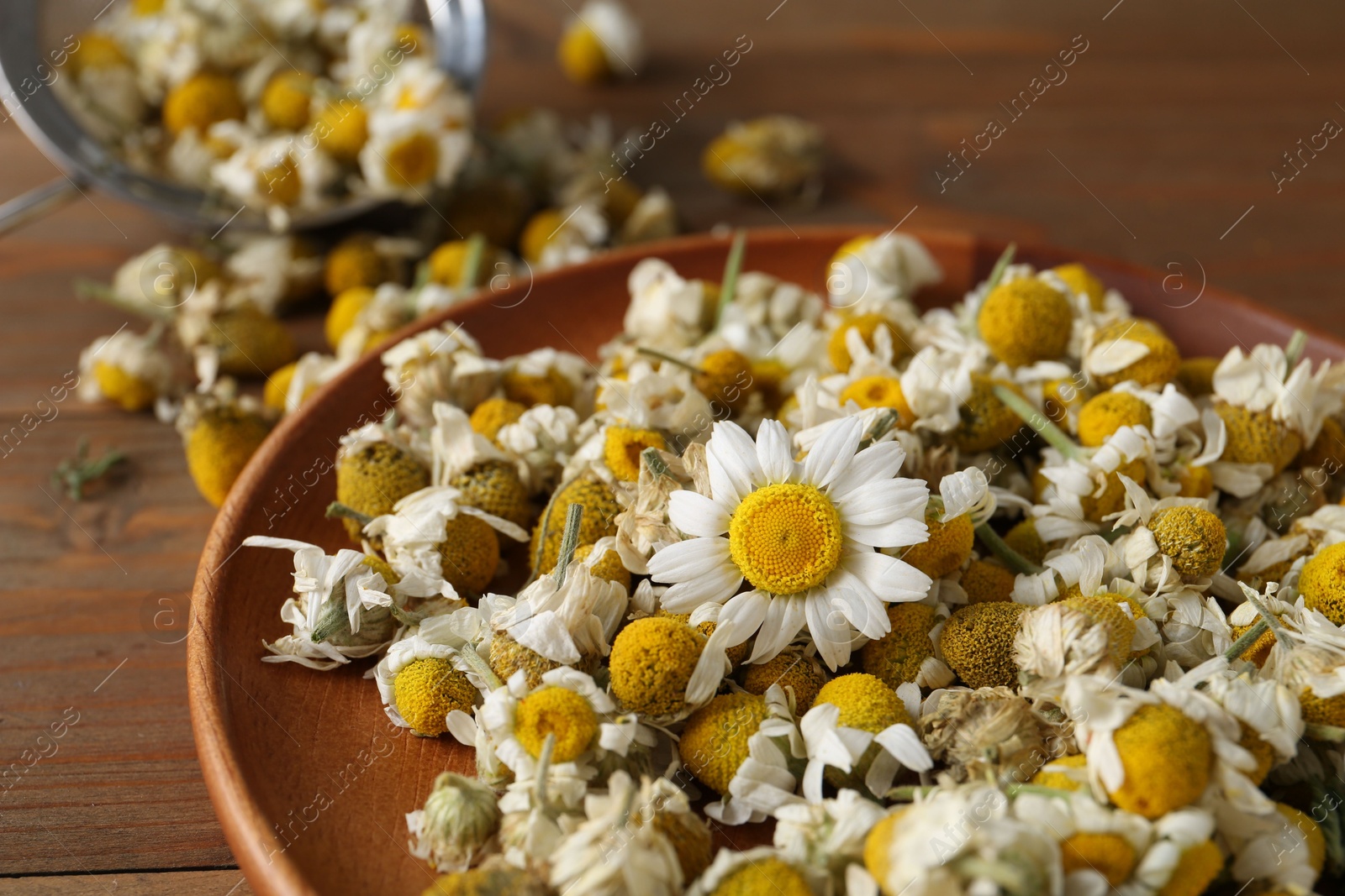 Photo of Dry and fresh chamomile flowers on table, closeup