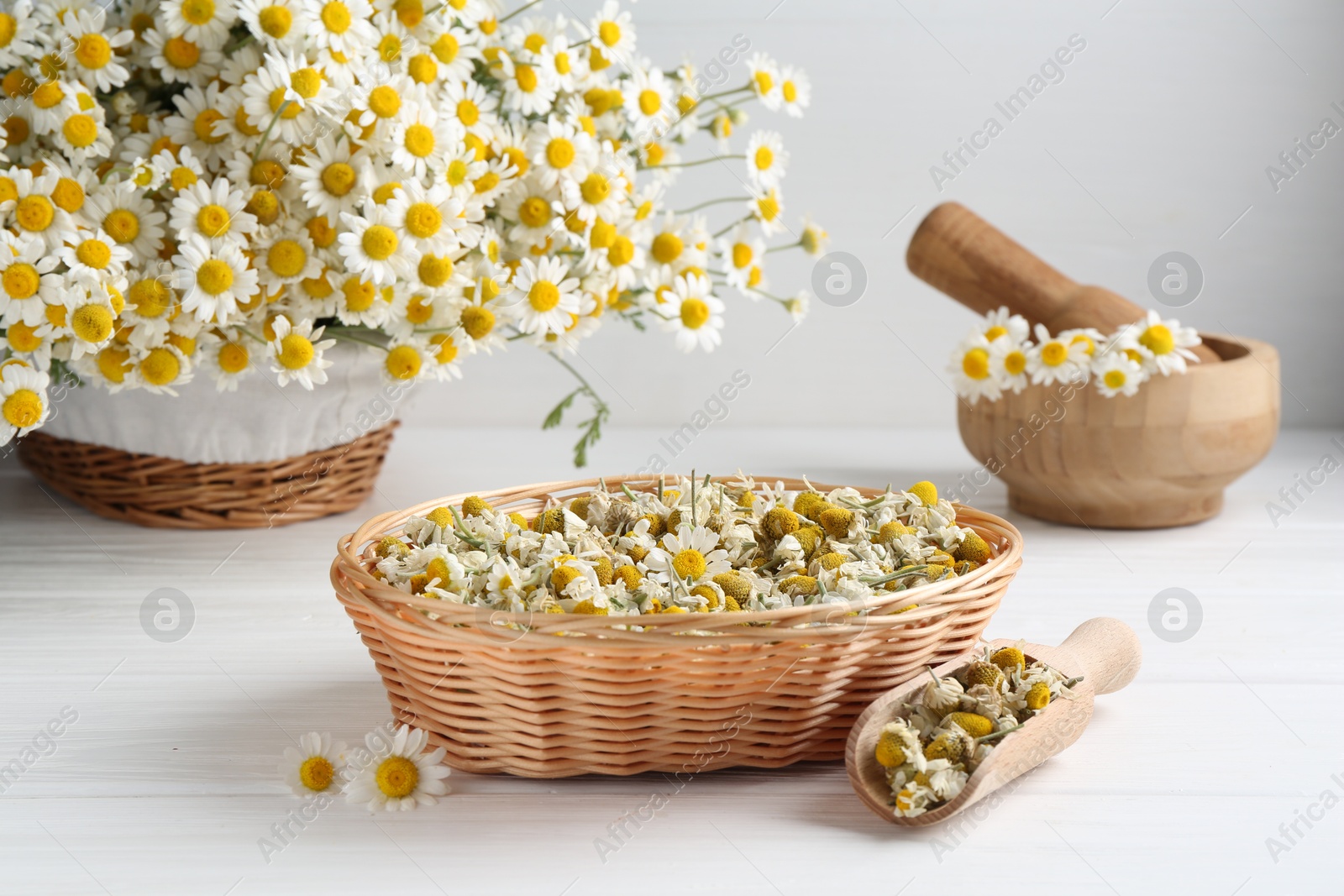 Photo of Dry and fresh chamomile flowers on white wooden table