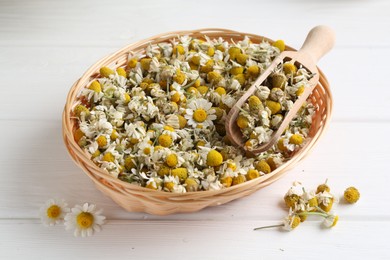 Photo of Dry and fresh chamomile flowers with scoop in wicker basket on white wooden table