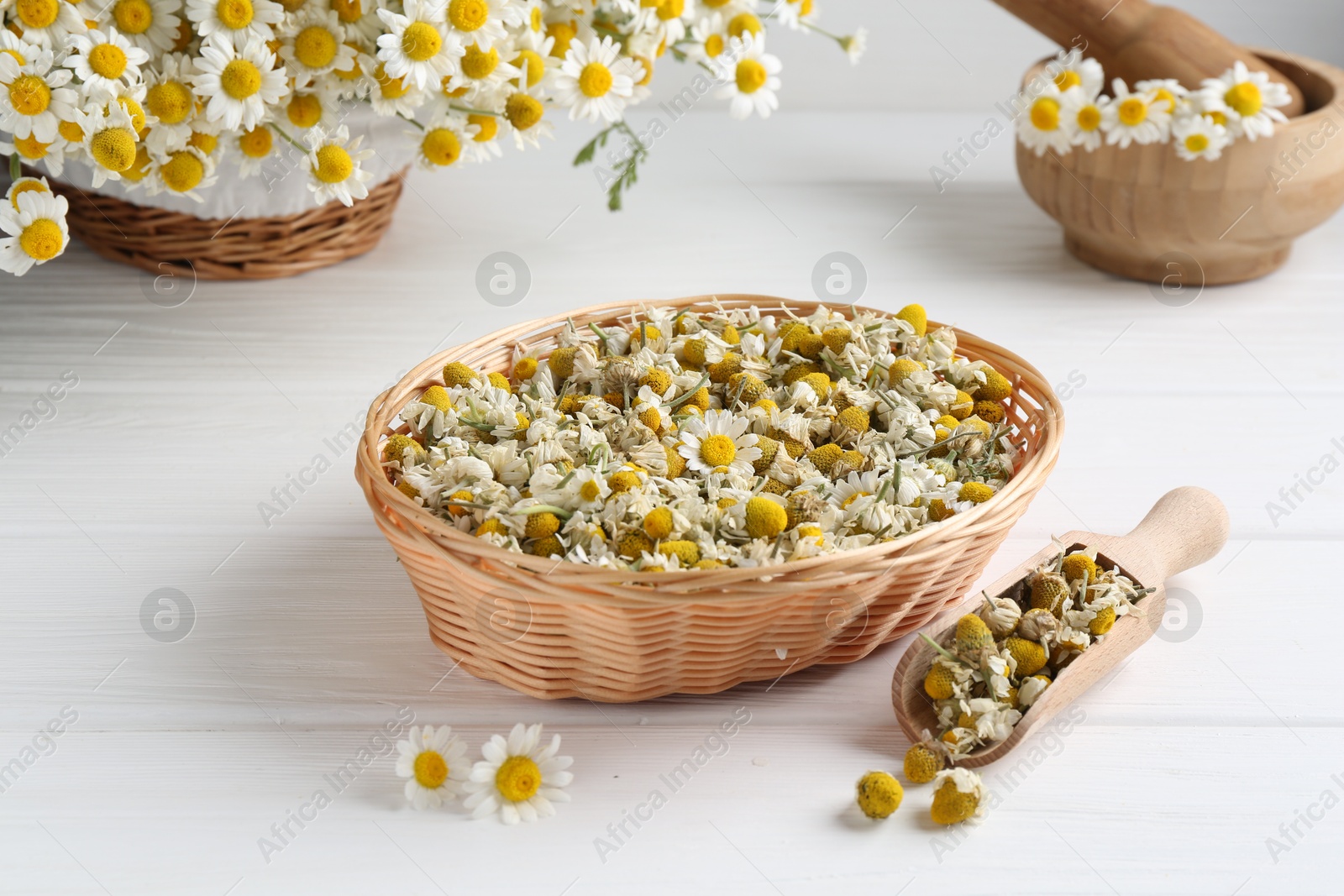 Photo of Dry and fresh chamomile flowers on white wooden table