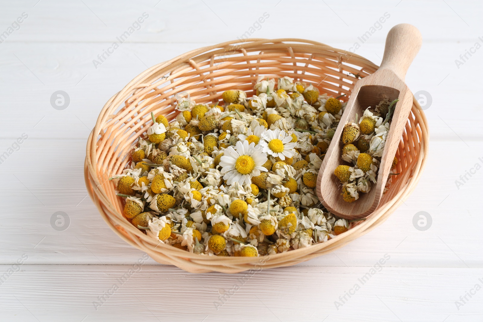 Photo of Dry and fresh chamomile flowers with scoop in wicker basket on white wooden table