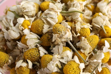 Photo of Many chamomile flowers as background, closeup view