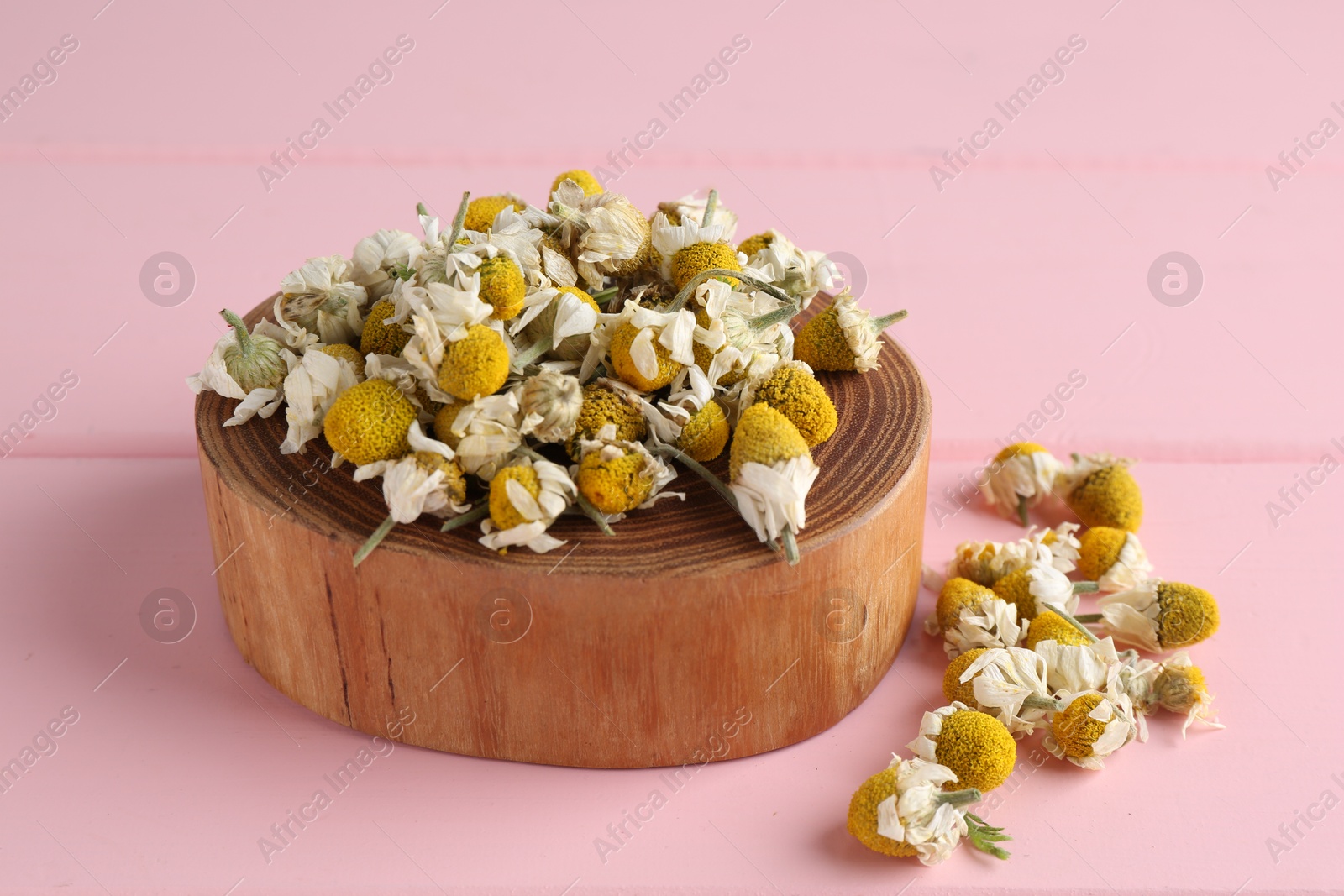 Photo of Chamomile flowers and stump on pink wooden table, closeup