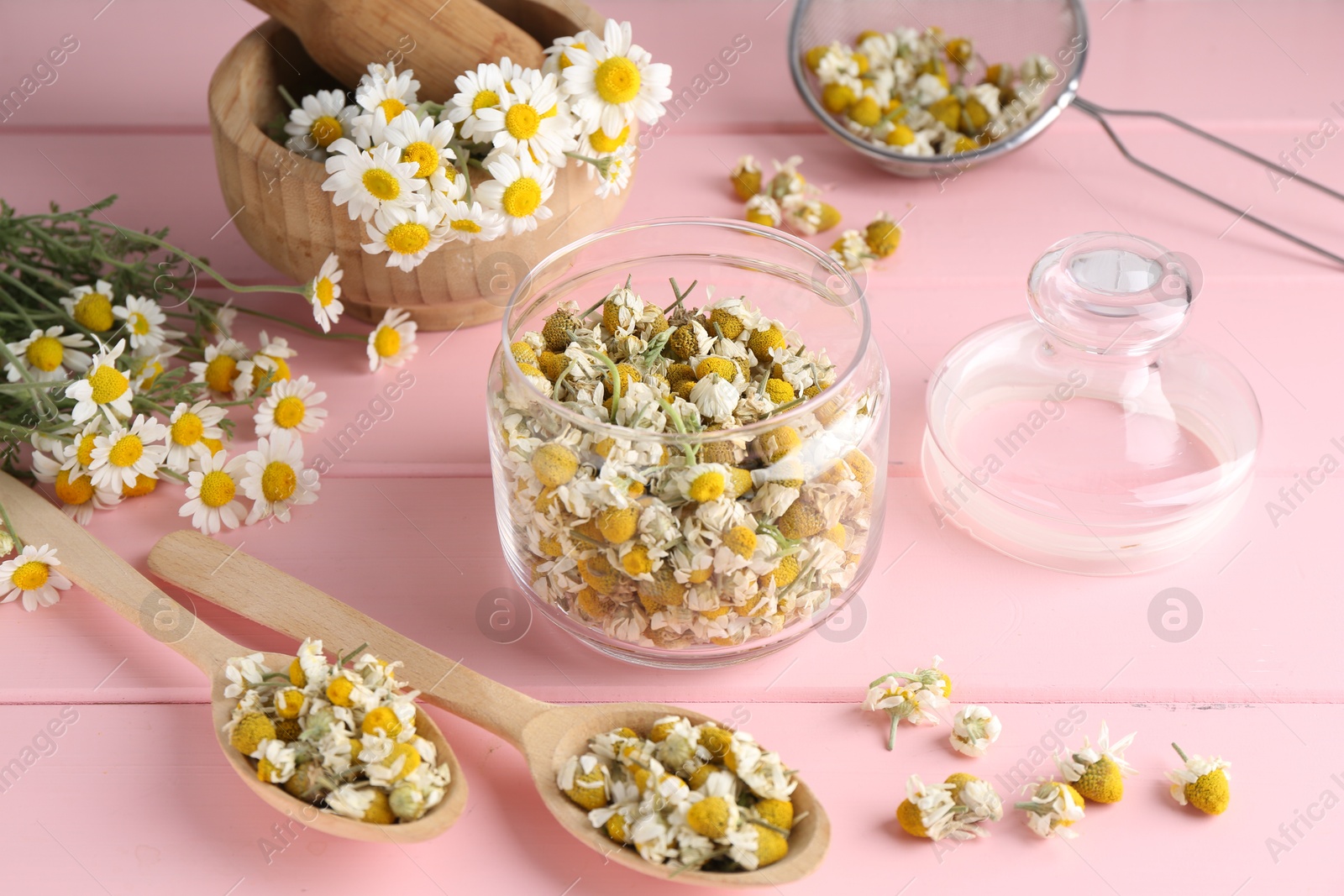 Photo of Dry and fresh chamomile flowers in dishware on pink wooden table