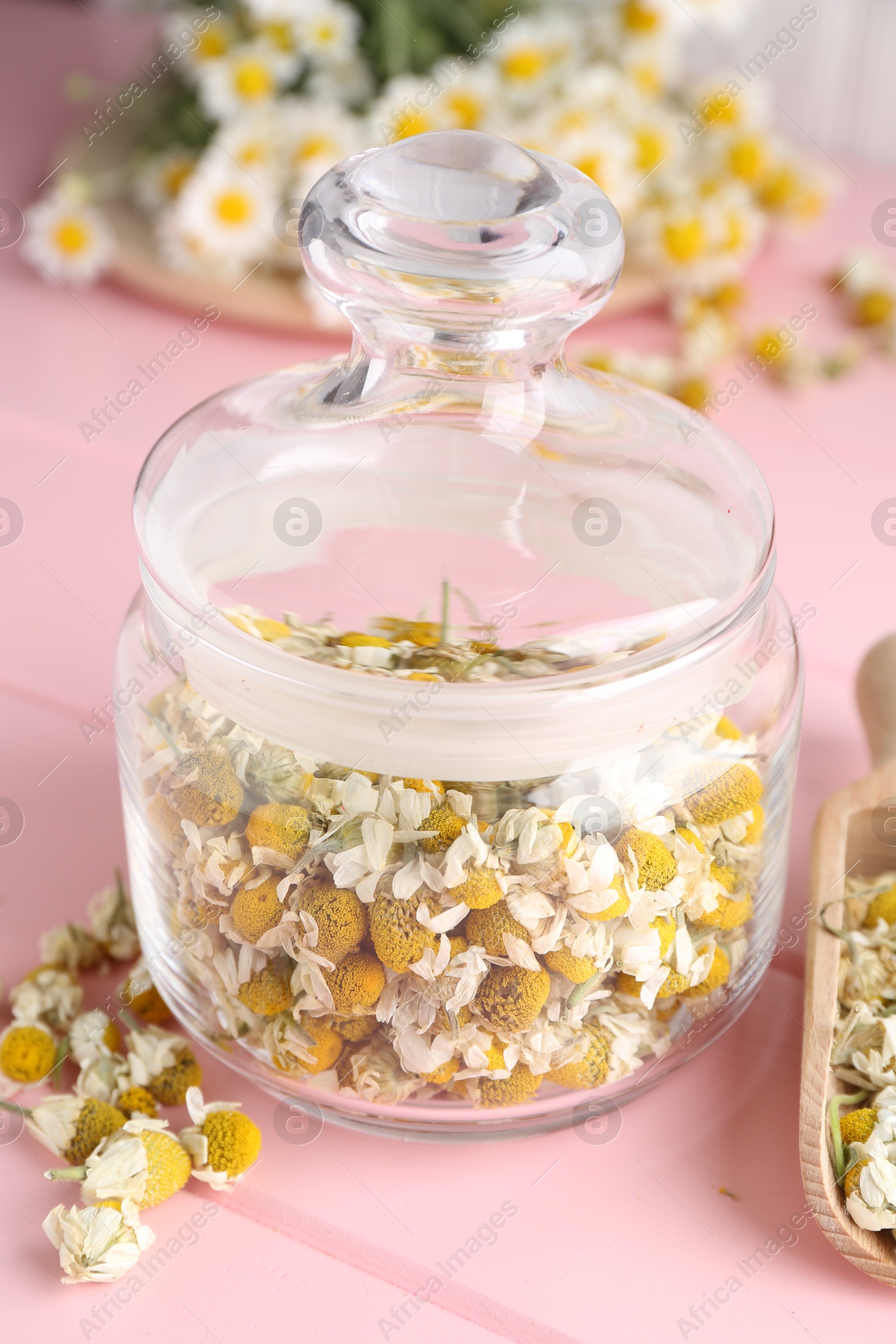 Photo of Chamomile flowers in glass jar on pink wooden table, closeup