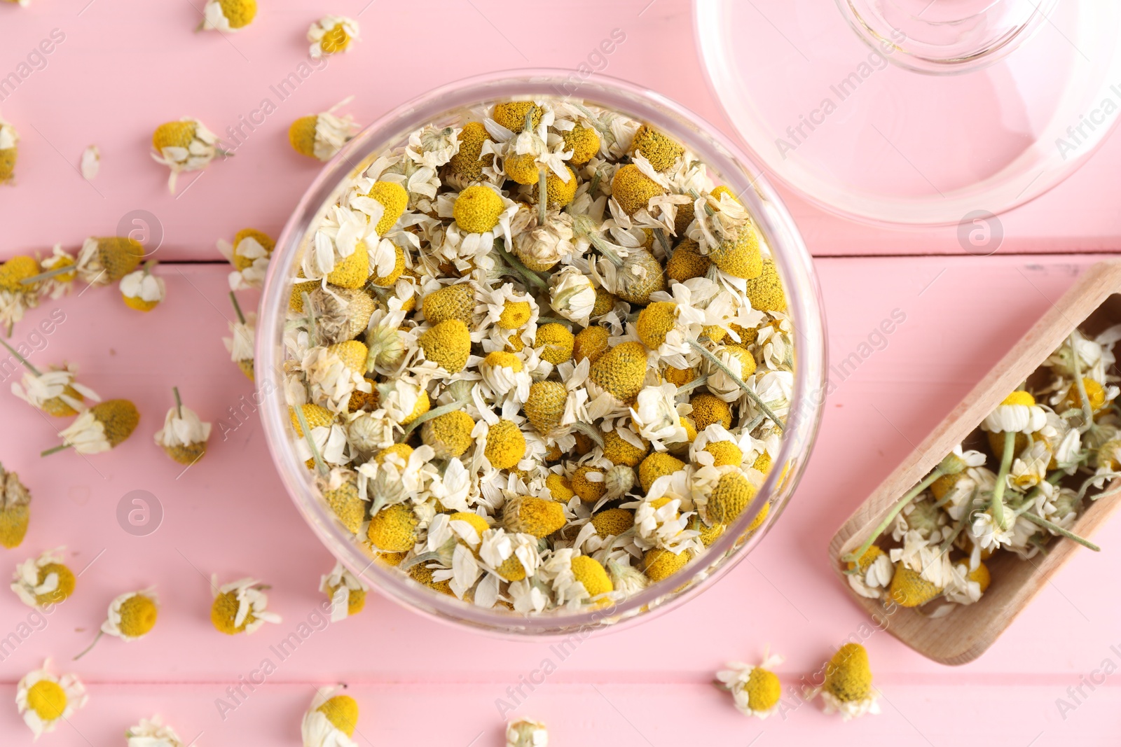 Photo of Chamomile flowers in glass jar and scoop on pink wooden table, flat lay