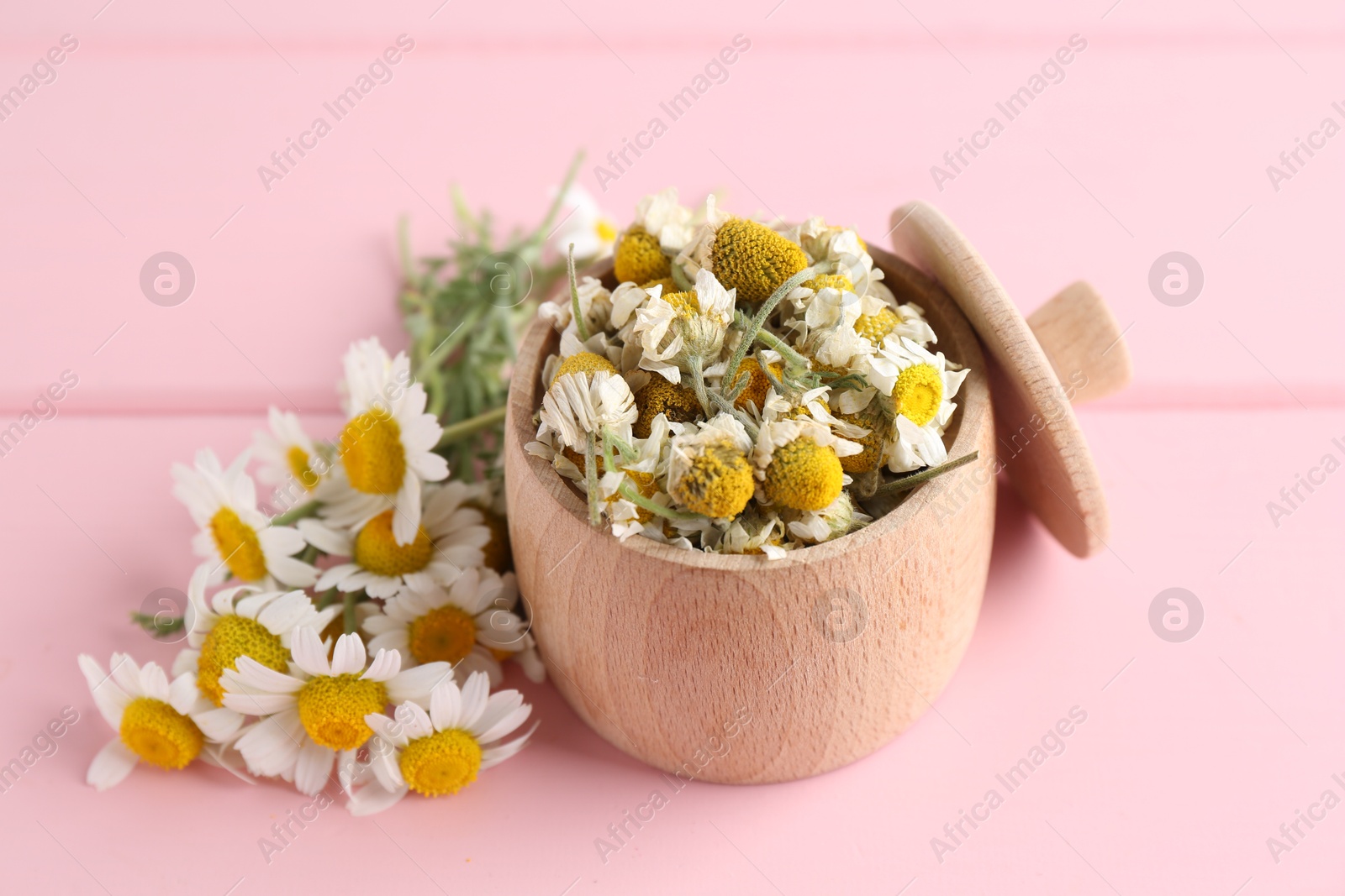 Photo of Dry and fresh chamomile flowers in bowl on pink wooden table, closeup