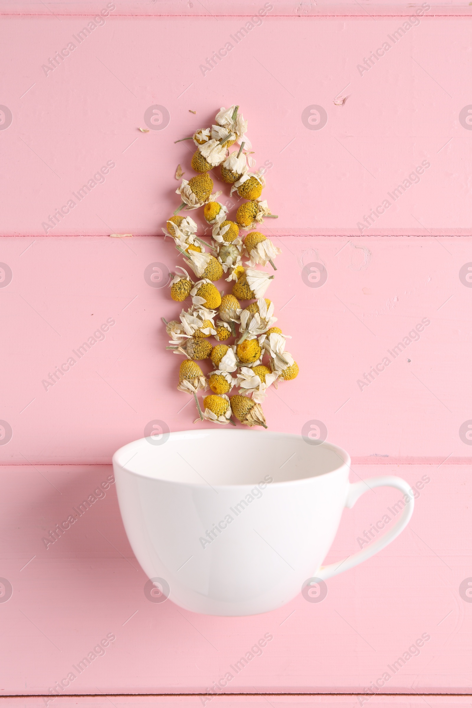 Photo of Chamomile flowers and white cup on pink wooden table, top view