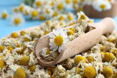 Photo of Dry and fresh chamomile flowers on table, closeup