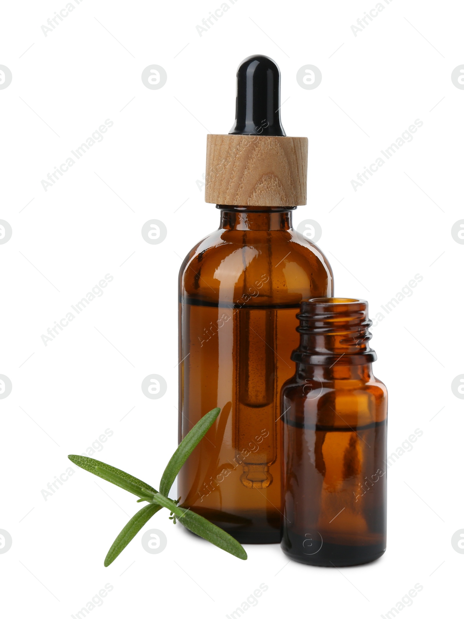 Photo of Bottles of essential oil and fresh rosemary isolated on white